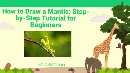 How to Draw a Mantis Step-by-Step Tutorial for Beginners