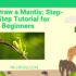 How to Draw a Mantis Step-by-Step Tutorial for Beginners