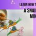 Snail Drawing Tutorial: Tips and Tricks for Kids