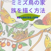 Hướng dẫn vẽ chim sâu