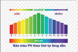 pH MÁU ĐIỀU CẦN BIẾT